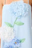 Elliatt Buttercup Embroided Maxi Dress - Blue